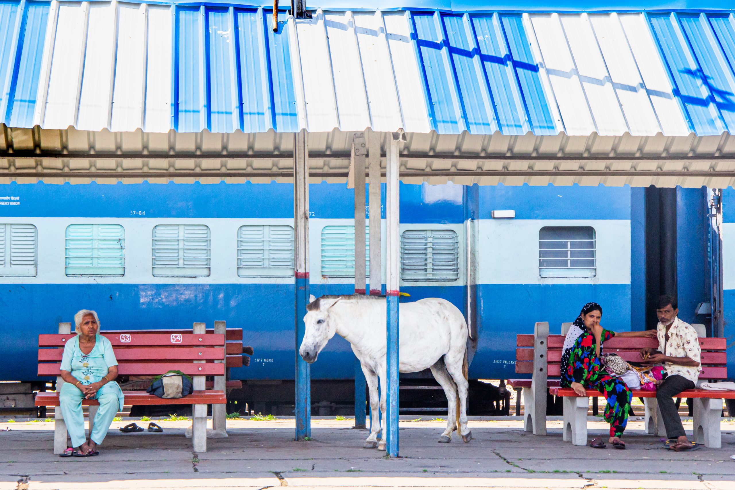 Le cheval dans la gare 40X60cm- Luana Rocchesani